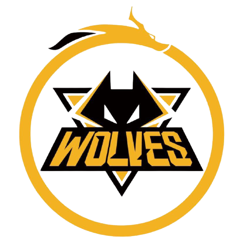 际比赛中将 际比赛中将