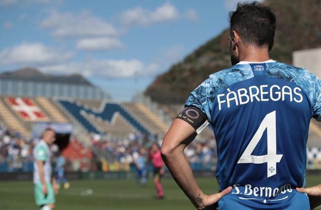 我国森林覆 我国森林覆