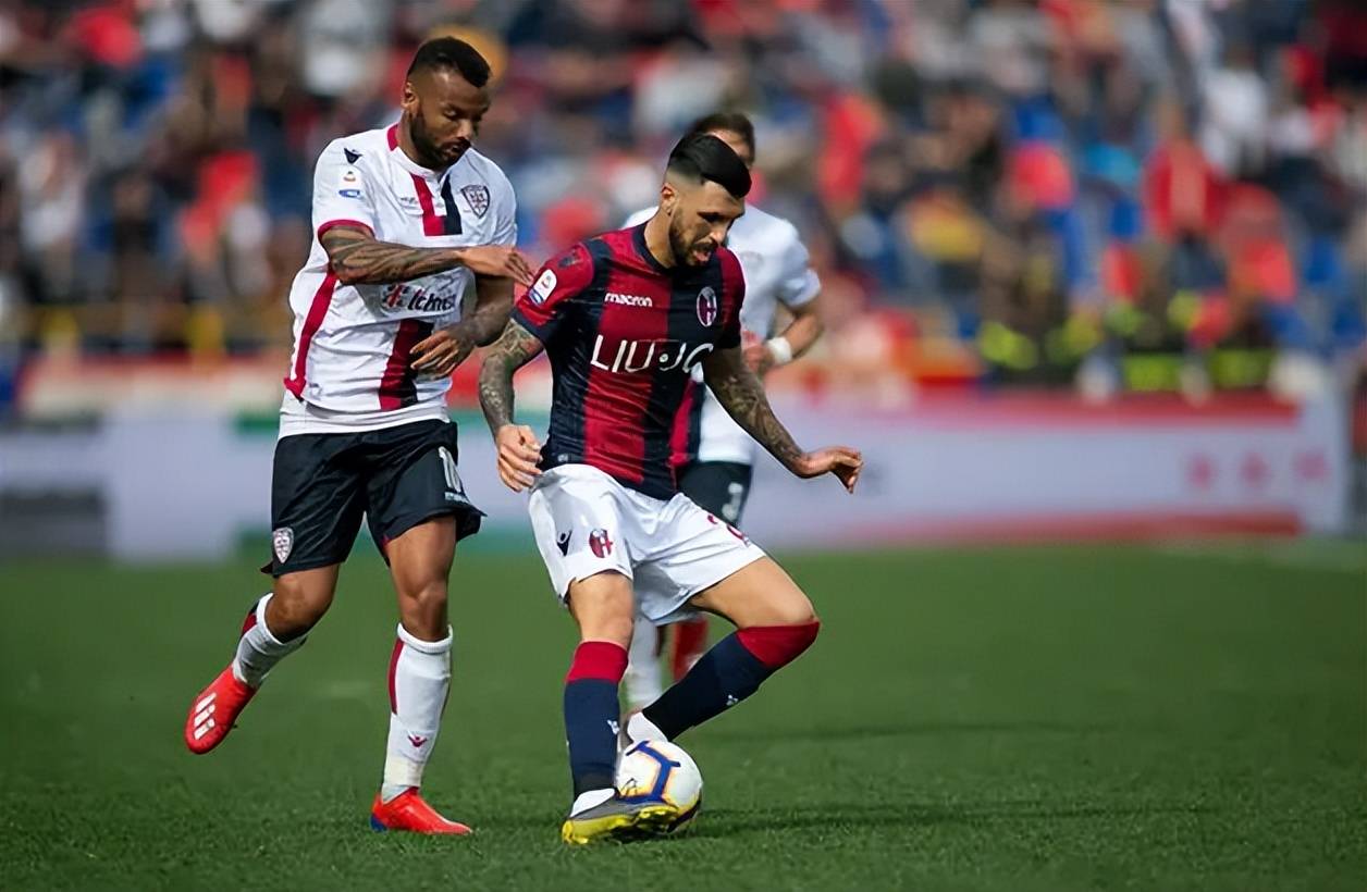 当下提供了 当下提供了