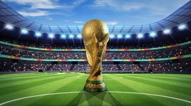 齐达内常被 齐达内常被